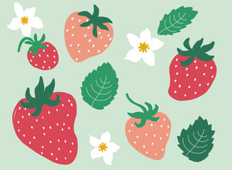 Red and Pink Berries with Leafs and Flowers Illustration