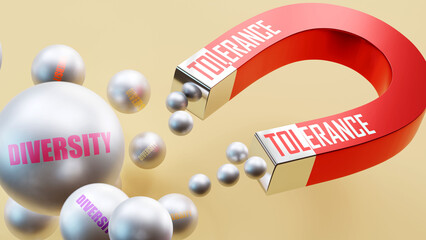 Tolerance which brings Diversity. A magnet metaphor in which tolerance attracts multiple parts of diversity. Cause and effect relation between tolerance and diversity.,3d illustration