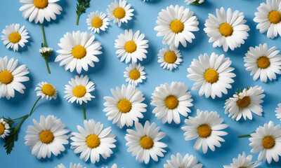 Daisy pattern. Flat lay spring and summer chamomile flowers on a blue background. Repetition concept. Top view. AI generative.