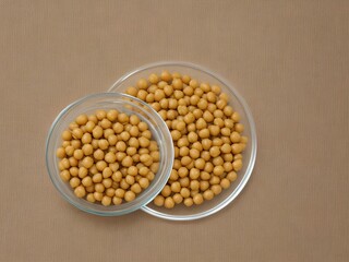 mung beans in a bowl