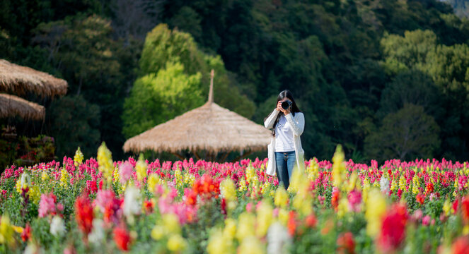 Asian tourists taking photos at a flower garden In the northern part of Thailand