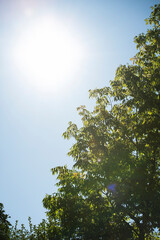 Fototapete bei efototapeten.de bestellen   