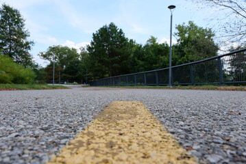 the road in the park
