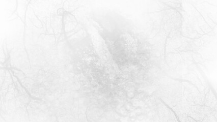 Seamless cracked off white stone marble smooth wall texture, white texture background, paper texture background. White wall vanttege stucco plaster texture background.	
