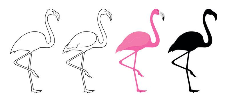Pink flamingo silhouette birds illustration vector Set