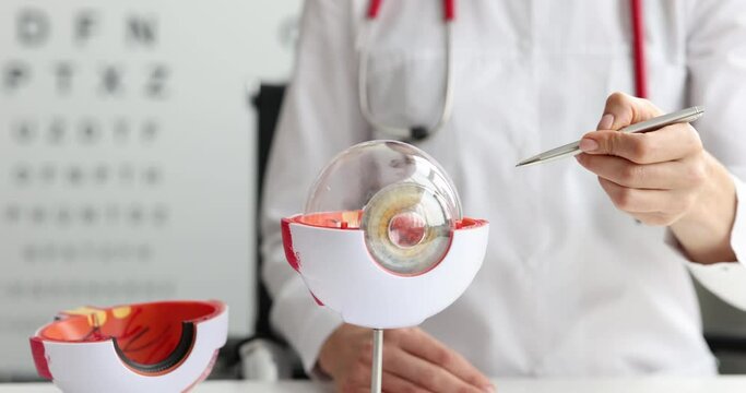 Hand of ophthalmologist indicates anatomy of eye ona model of person in clinic. Part of human body model with organ system for medical training