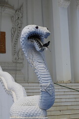 pigeon posé dans la gueule d'un dragon installé dans un temple