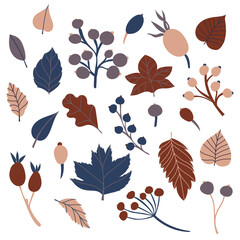 Set of flat isolated illustration of leaves and berries in cozy autumn colors. colored flat vector decor for scrapbooking, textile or book covers, wallpapers, graphic art, printing, hobby, invitation.