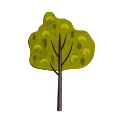 Cute cartoon deciduous tree in scandinavian style.. Bright stylized wonderland forest. Bushe, birch, poplar, aspen with green foliage. Hand drawn digital illustration for kids, baby, nursery, card