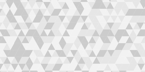 Abstract gray and white triangle background. Abstract geometric pattern gray and white Polygon Mosaic triangle Background, business and corporate background.