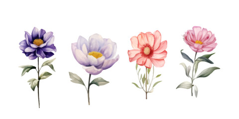Set of watercolor floral on white background