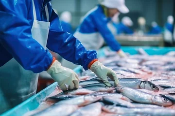 Foto op Canvas Fish processing plant. Production Line. People sort the fish moving along the conveyor. Sorting and preparation of fish. Production of canned fish. modern food industry. © Anoo
