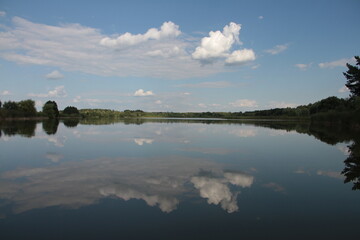 reflection of trees in water