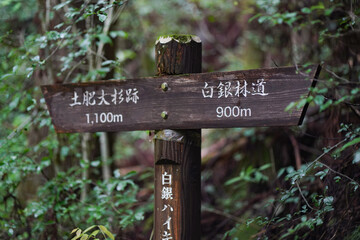 道標（土肥大杉跡・白銀林道）