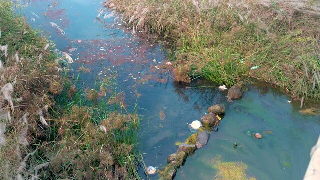 In India, addressing air and water pollution and mitigating environmental damage is imperative for a sustainable and healthy future.