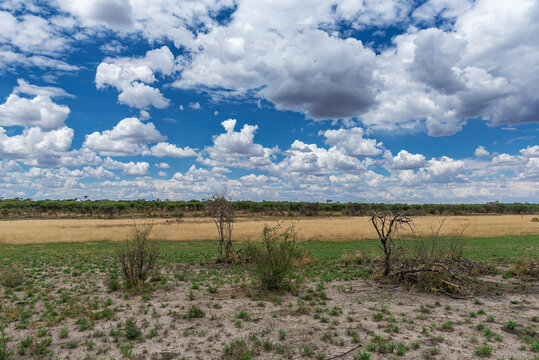 Landscape in Khaudum National Park, Namibia