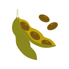 illustration, edamame beans isolated on white background.