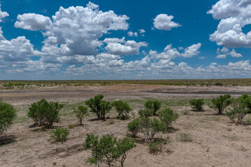 Fototapeta na wymiar Landscape in Khaudum National Park, Namibia