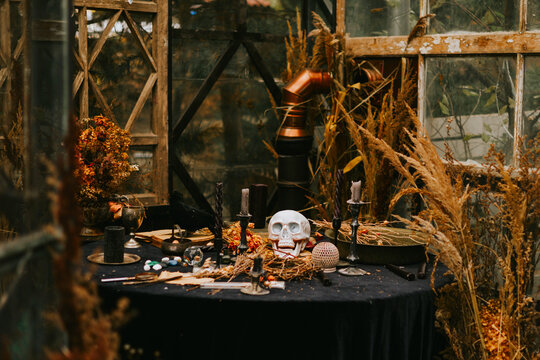 Halloween party decor in gloomy dark colors with the table is set