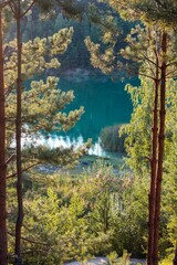 Blue lake in a pine forest, vertical photo