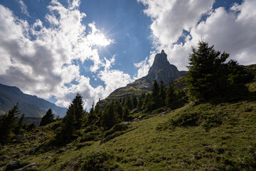 Schwarzer Schopf Berner Oberland Sommer Wanderung Lobhörner, Sulwald 