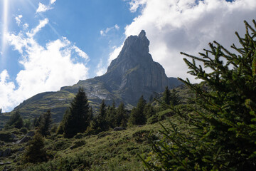 Schwarzer Schopf Berner Oberland Sommer Wanderung Lobhörner, Sulwald 