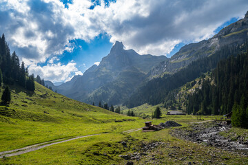 Schwarzer Schopf Berner Oberland Sommer Wanderung Lobhörner, Sulwald 