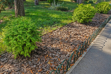 Mulching with pine bark under bushes along a path or alley in a garden or park