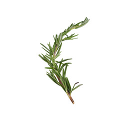 rosemary transparent png