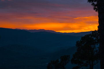 Beautiful landscape view of pine forest and sunset at himalayan range, Almora, Ranikhet, Uttarakhand, India with selective focus. Colourful sunset in Almora city, Kasardevi area.