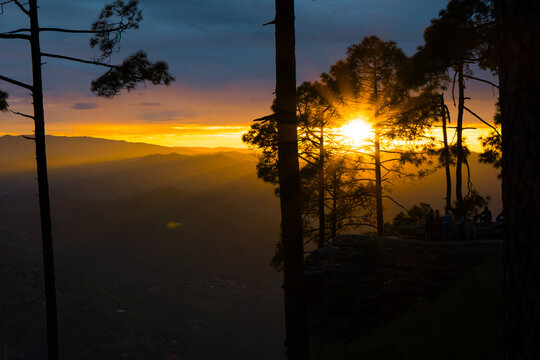 Beautiful landscape view of pine forest and sunset at himalayan range, Almora, Ranikhet, Uttarakhand, India with selective focus. Colourful sunset in Almora city, Kasardevi area.