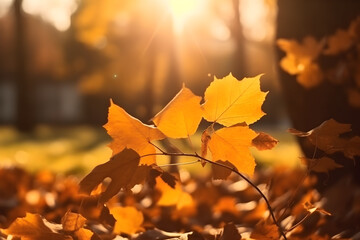 Naklejka na ściany i meble Beautiful orange and golden autumn leaves. AI Generative