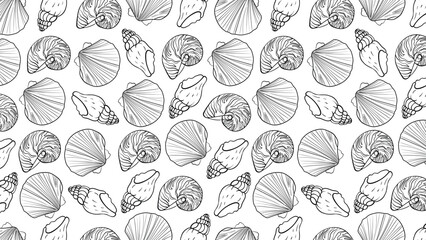 Seamless black and white pattern with seashells. Vector illustration