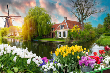 Amsterdam Netherlands, city skyline at canal waterfront with spring tulip flower. High quality photo - 647113074