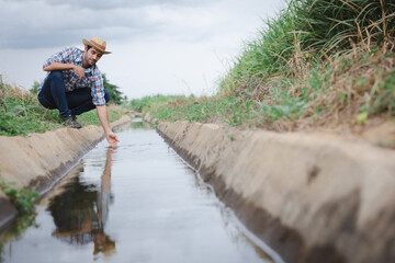 Farmers and water system management in sugarcane fields