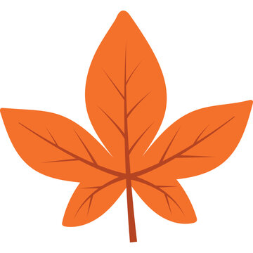 autum leaves