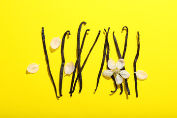 Concept of aromatherapy with aromatic vanilla extract