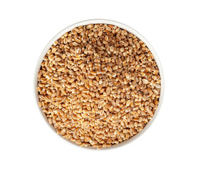 Wheat Grains, Barley Pile, Dry Cereal Seeds, Wheat Grains Heap on White