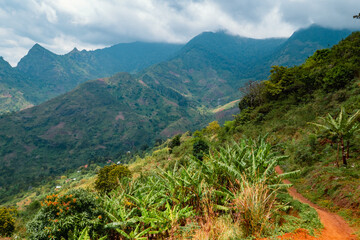 Fototapeta na wymiar An empty hiking trail on Uluguru Mountains in Mororgoro, Tanzania
