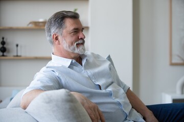 Fototapeta premium Portrait of happy mature man sitting on sofa at home.