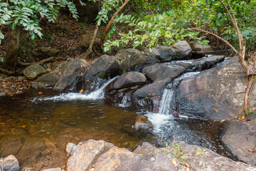 View of a fresh water river in the forest at Uluguru Mountains in Morogoro Region, Tanzania
