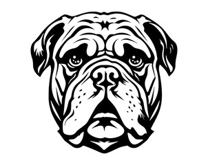 Vector Stylized Bulldog Illustration Isolated On White Background - obrazy, fototapety, plakaty