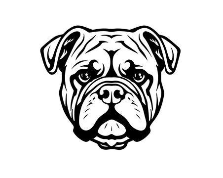 Vector Stylized Bulldog Illustration Isolated On White Background