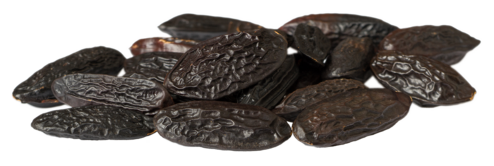 Tonka beans isolated on white background.