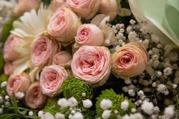 bouquet of green Chrysanthemum, white gypsophila, pink rose. background of flowers