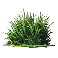 Cute Grass with cartoon style isolated on a white background