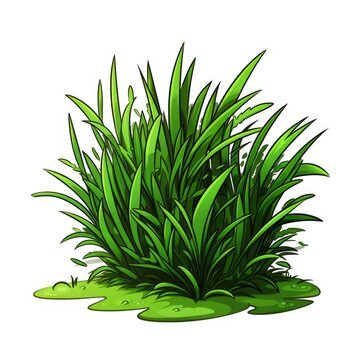 Cute Grass with cartoon style isolated on a white background