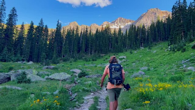 Cinematic aerial people hiking with dog alpine sunset at Blue Lakes Colorado Mount Sniffels Dallas Peaks Wilderness snow 14er peak purple wildflowers Ridgway Telluride Ouray Silverton hike slow follow