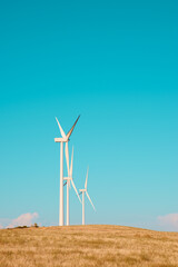 Wind turbine generators for green electricity production