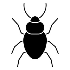 beetle